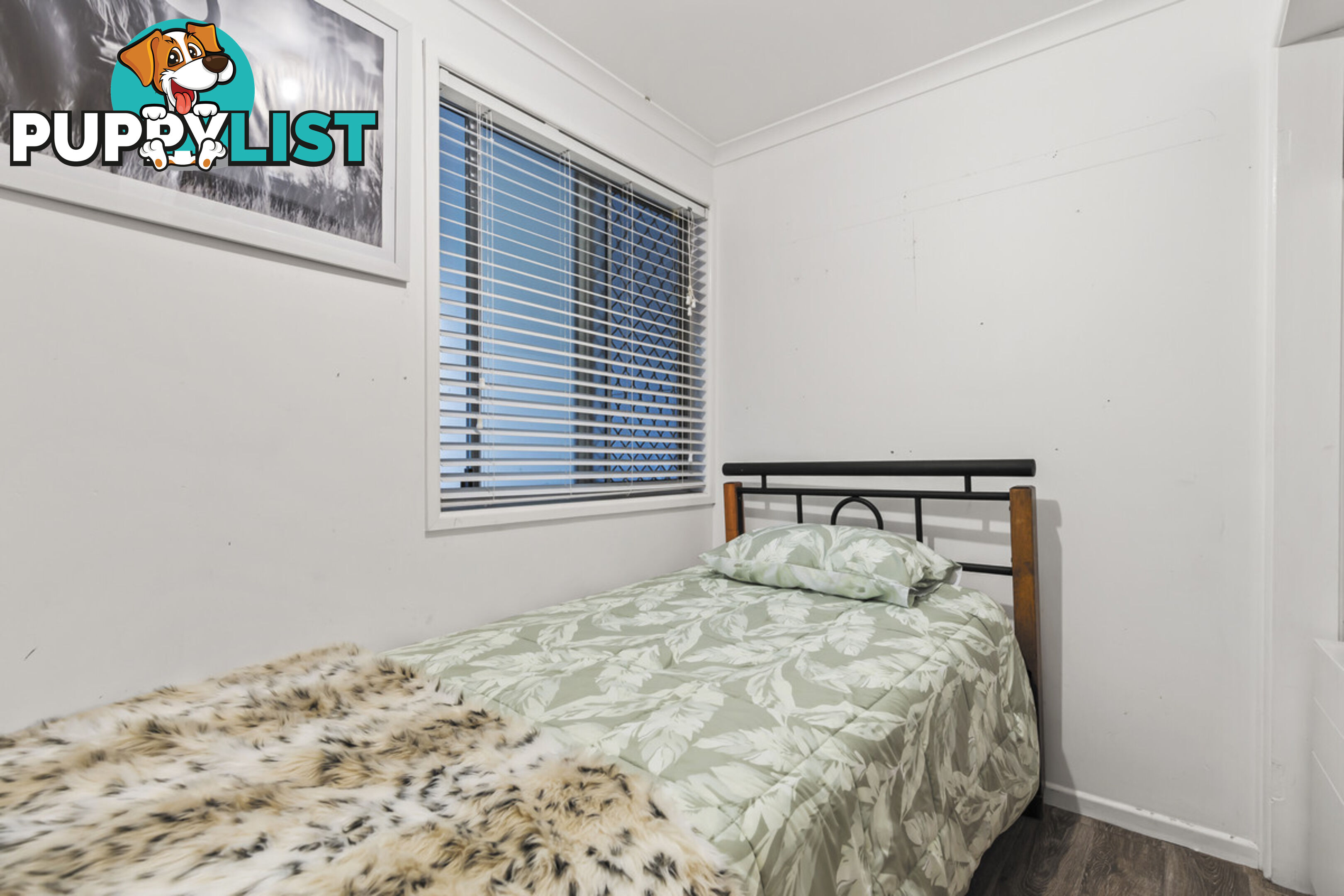 30 Ogilvie Street ALEXANDRA HILLS QLD 4161