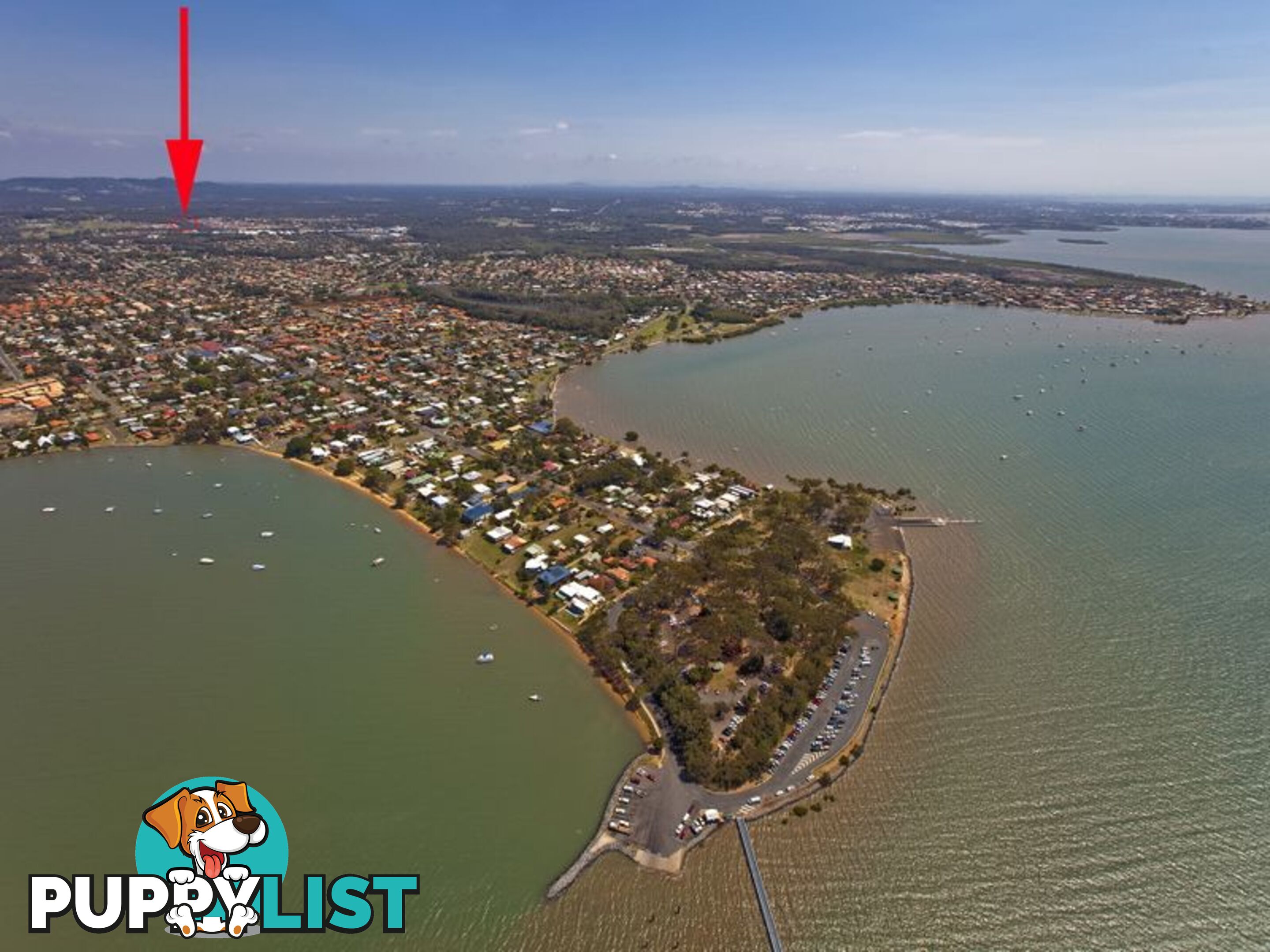 Lot 16 Pinevale Court VICTORIA POINT QLD 4165