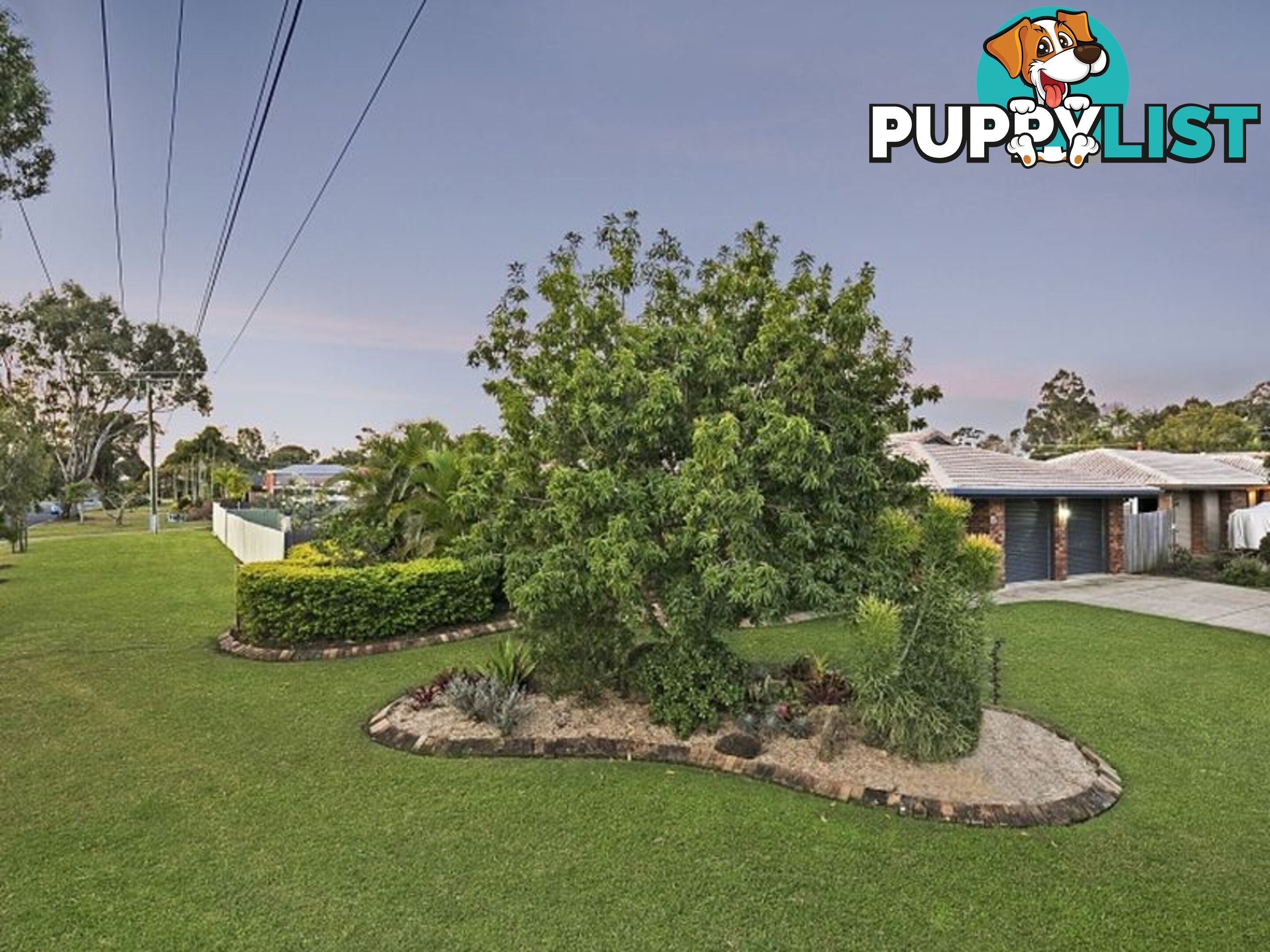 15 Benjamin Court CLEVELAND QLD 4163