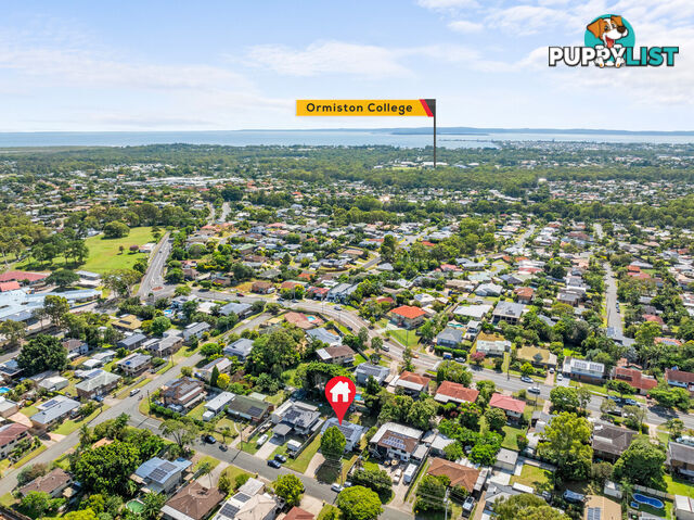 81 Ogilvie Street ALEXANDRA HILLS QLD 4161