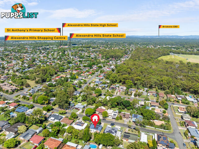 81 Ogilvie Street ALEXANDRA HILLS QLD 4161