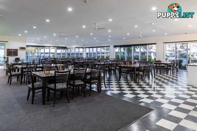 146/29-71 High Road WATERFORD QLD 4133