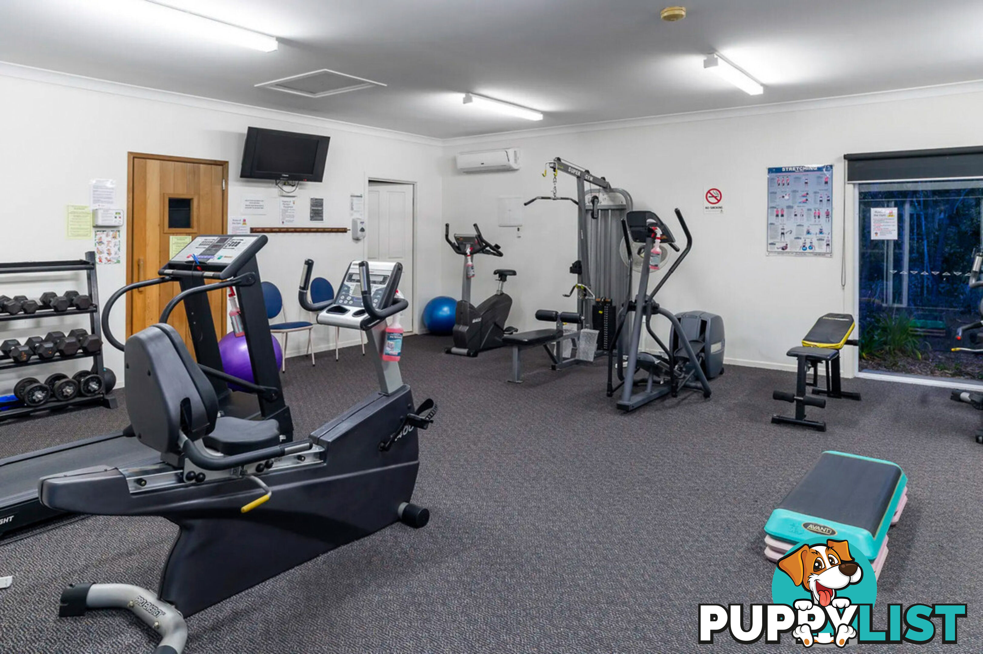 146/29-71 High Road WATERFORD QLD 4133