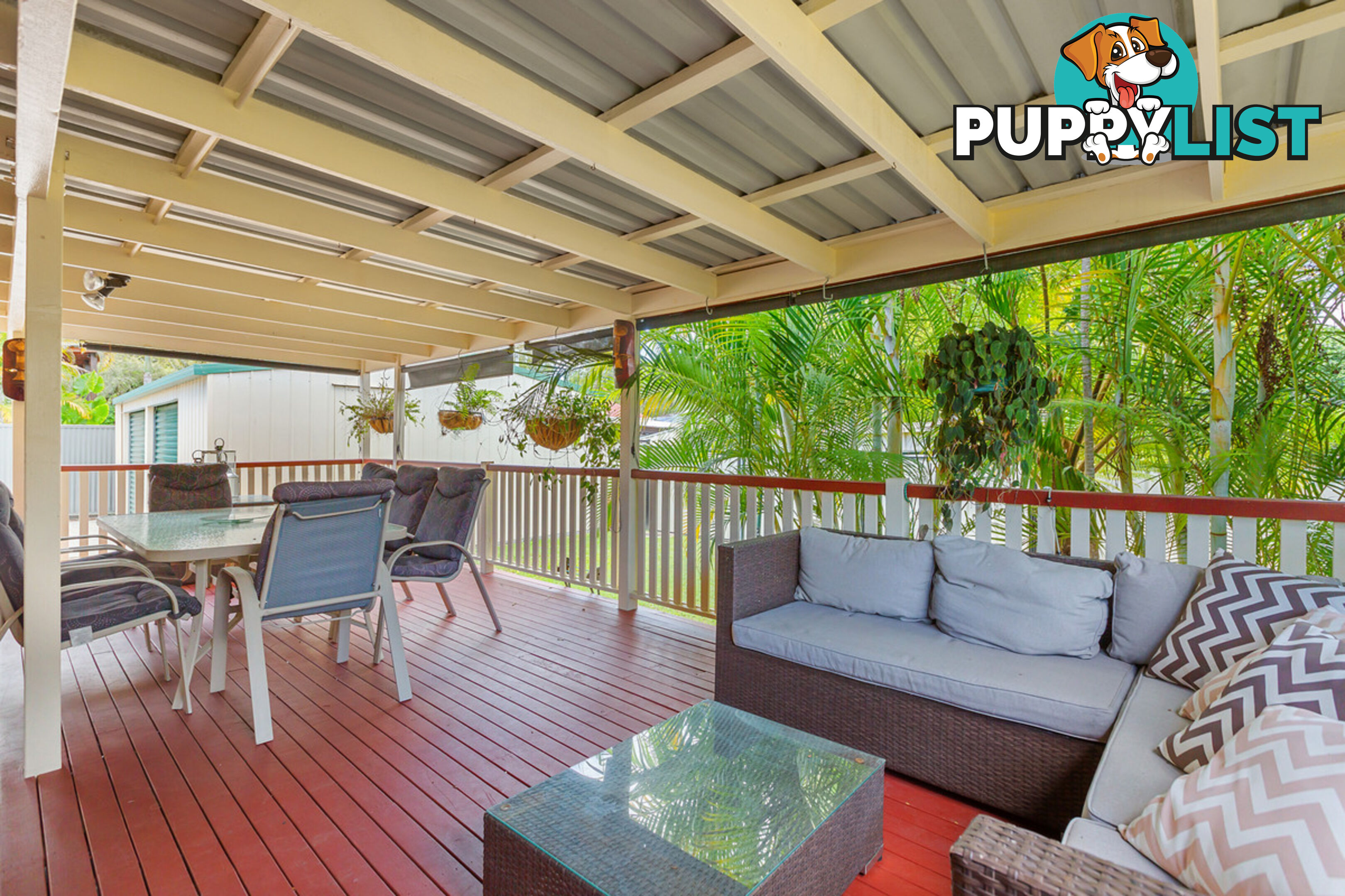 3 Kevin Street CAPALABA QLD 4157