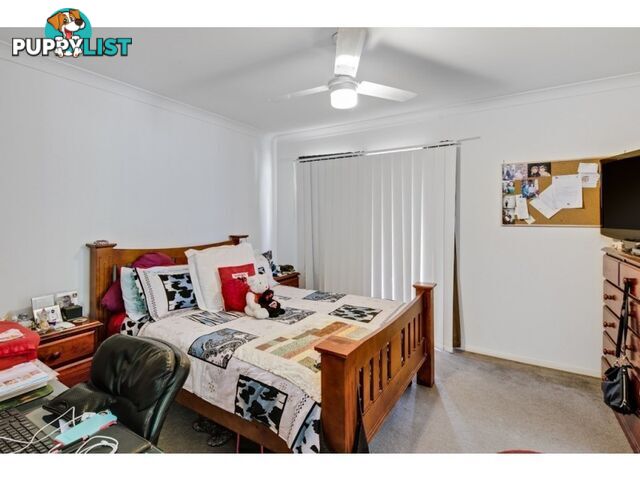 4 Raife Close WELLINGTON POINT QLD 4160