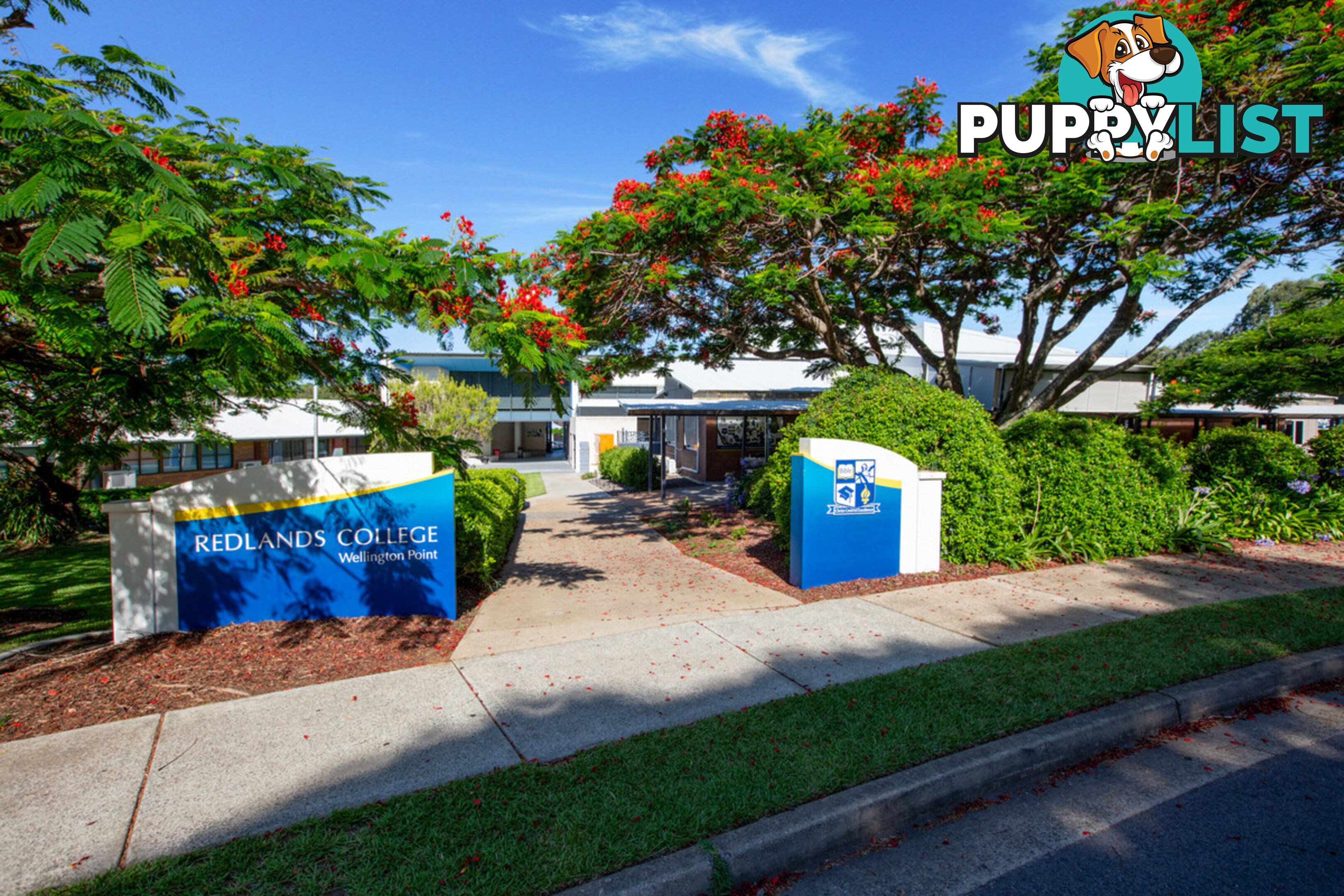 9 Maud Street BIRKDALE QLD 4159