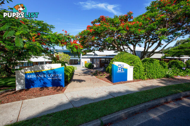 9 Maud Street BIRKDALE QLD 4159