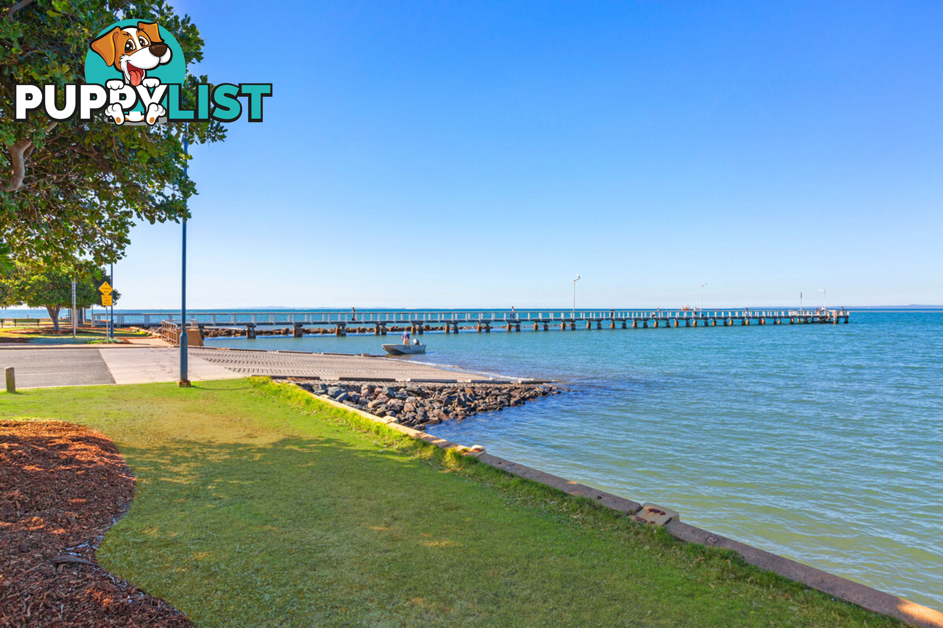 9 Maud Street BIRKDALE QLD 4159
