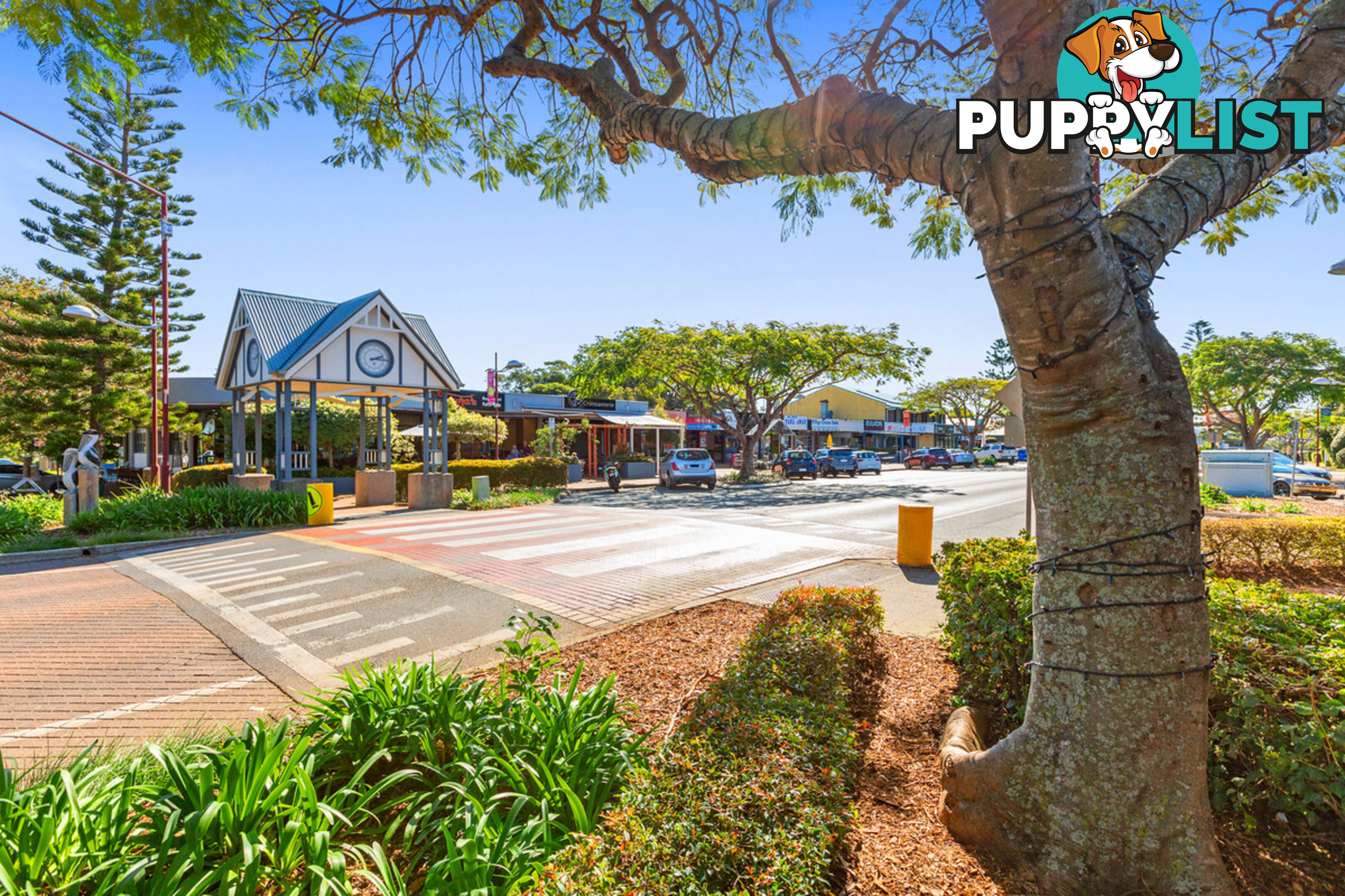 9 Maud Street BIRKDALE QLD 4159