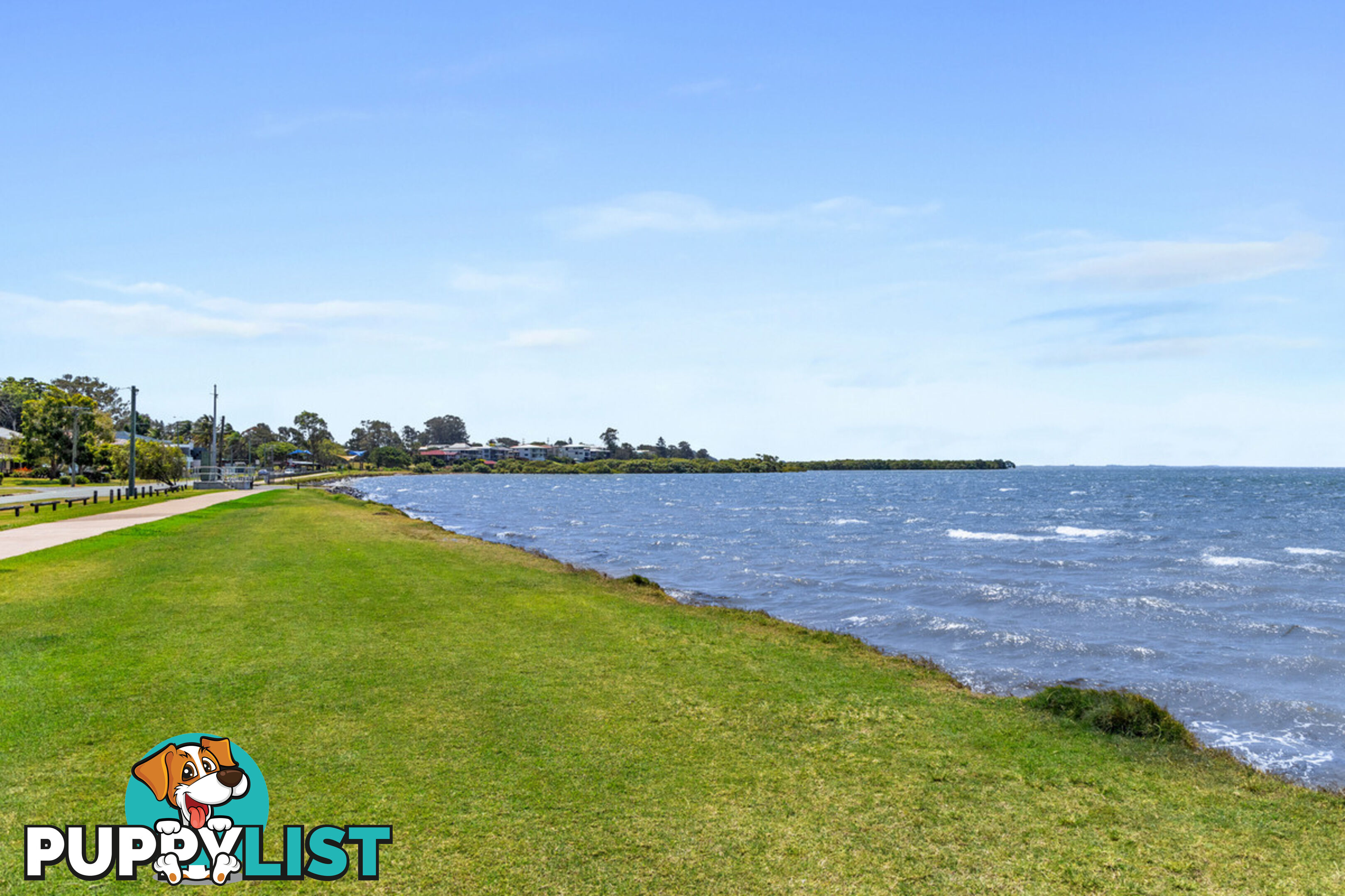 9 Maud Street BIRKDALE QLD 4159