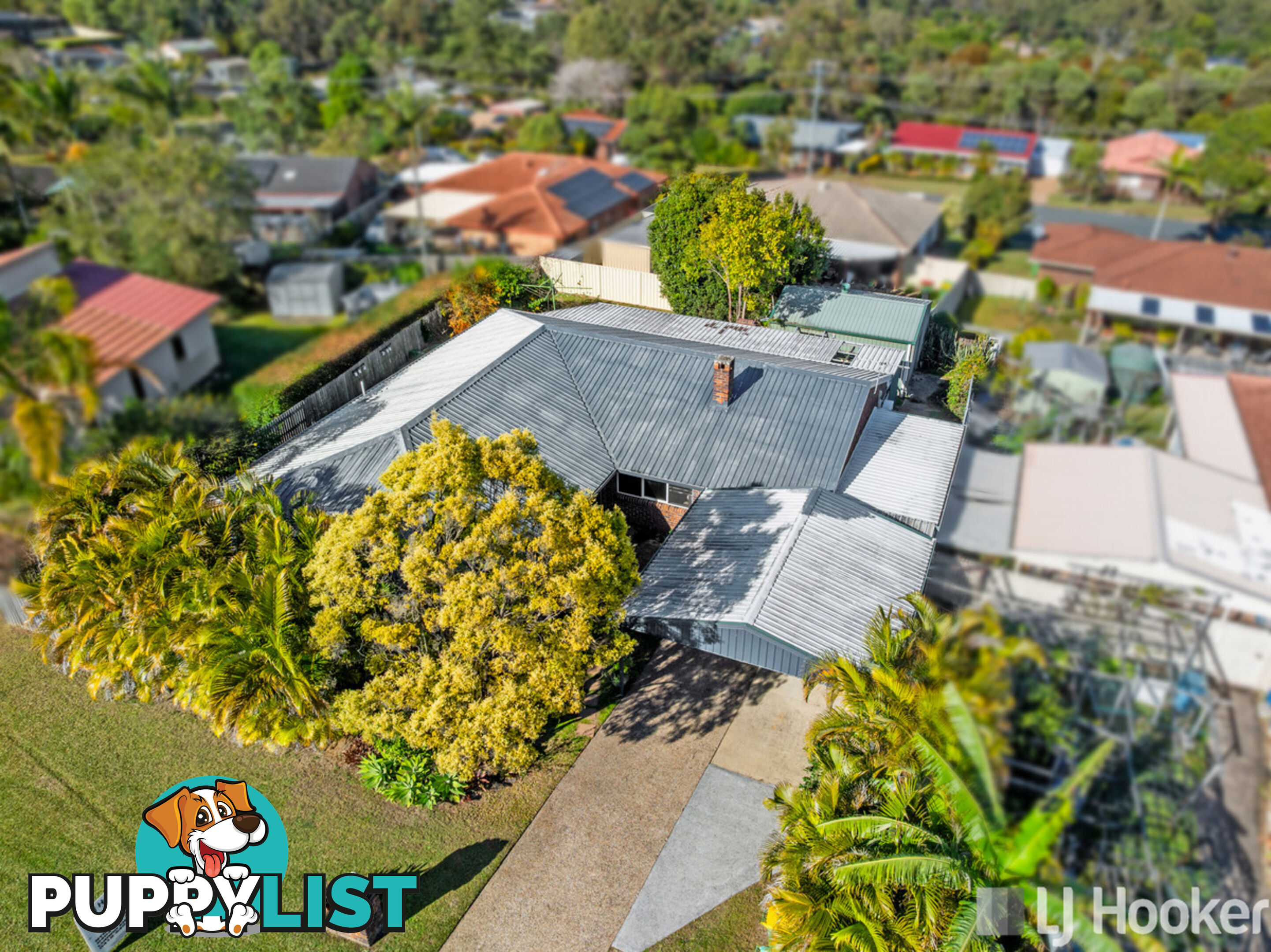 6 Greystoke Place ALEXANDRA HILLS QLD 4161