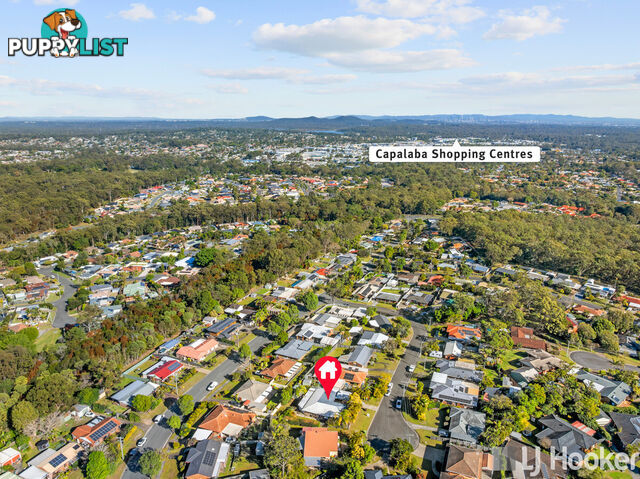 6 Greystoke Place ALEXANDRA HILLS QLD 4161