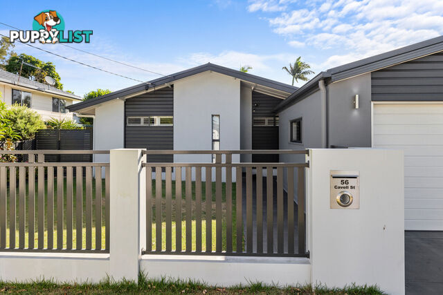 56 Cavell Street BIRKDALE QLD 4159