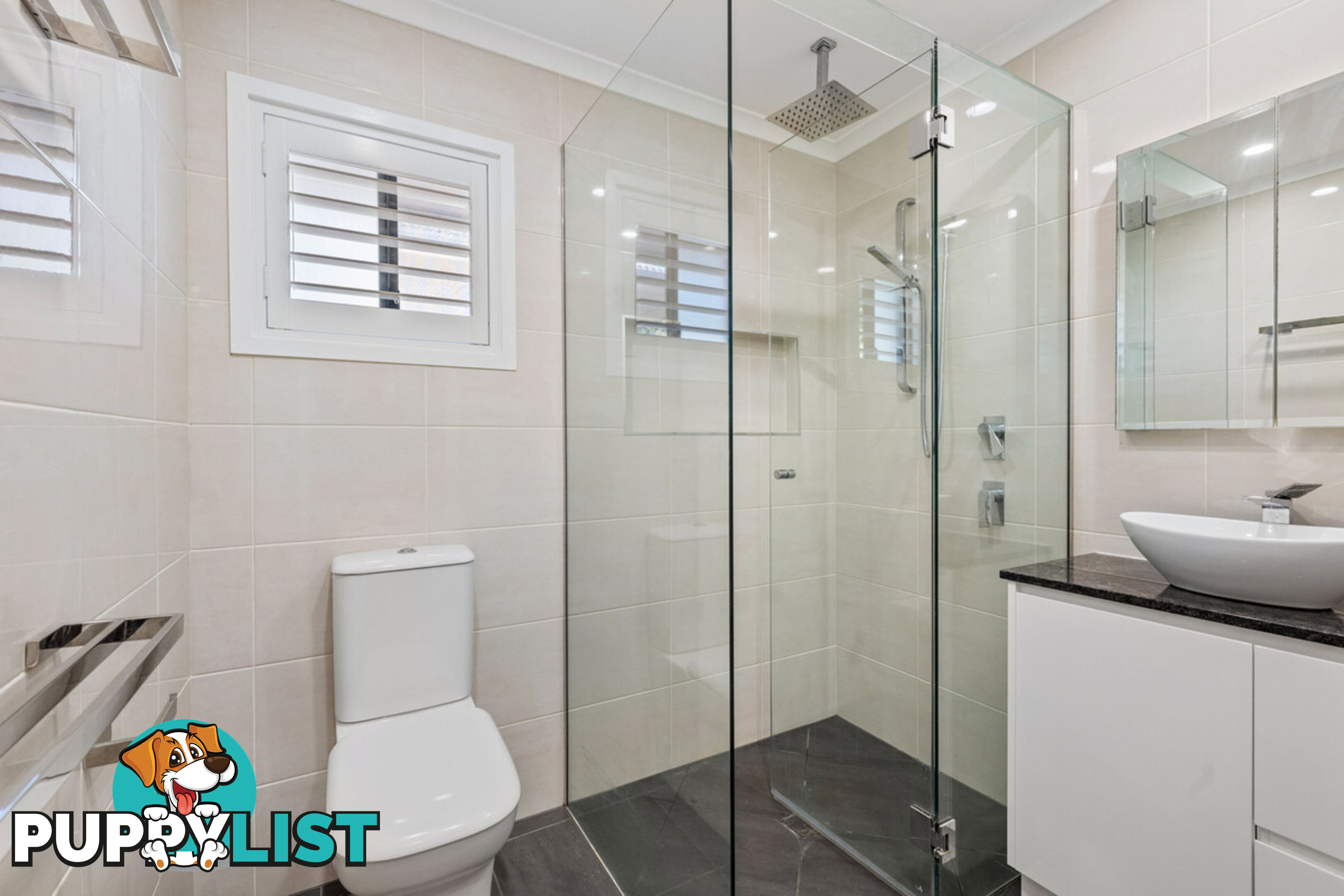 56 Cavell Street BIRKDALE QLD 4159