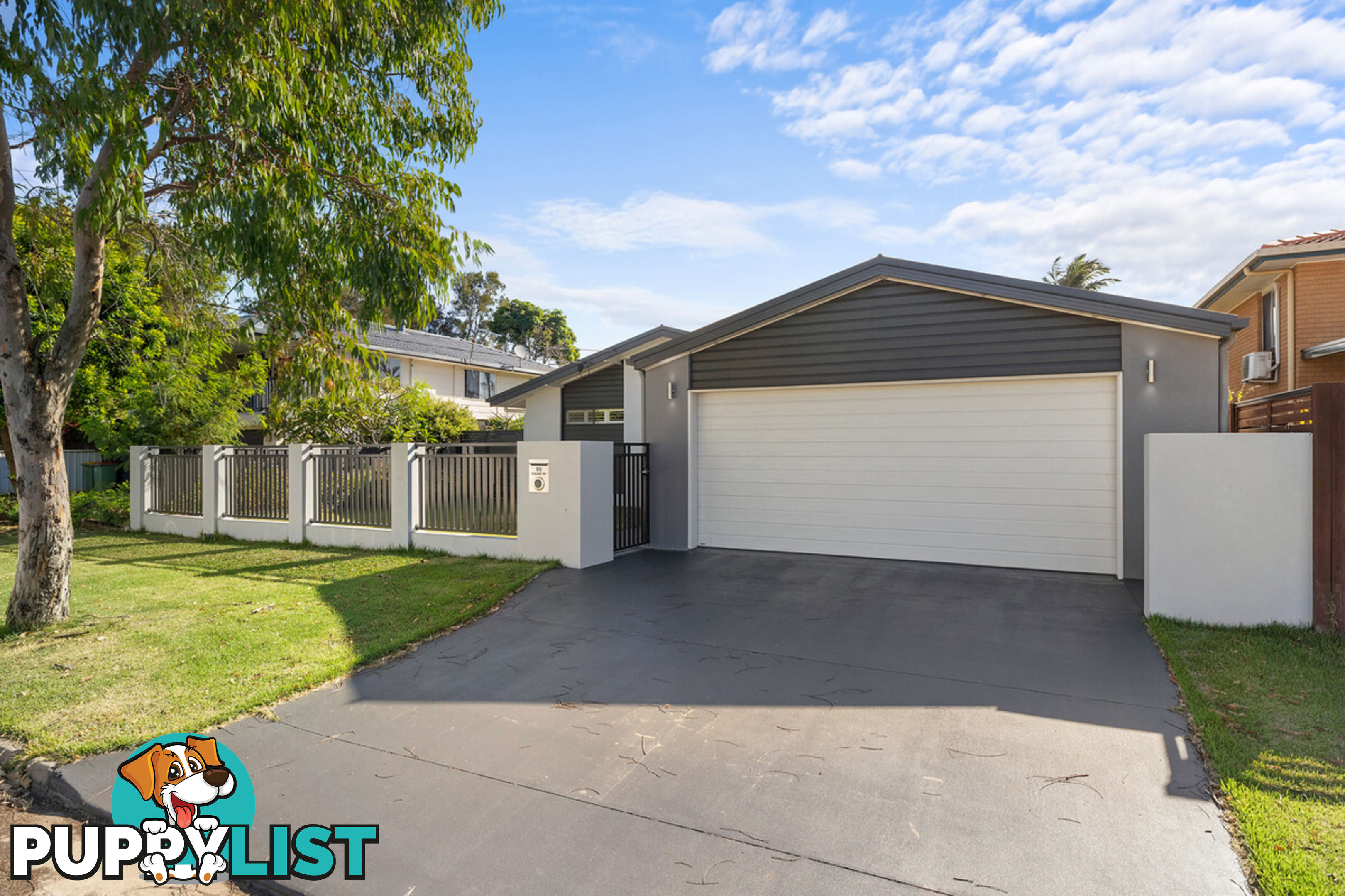 56 Cavell Street BIRKDALE QLD 4159