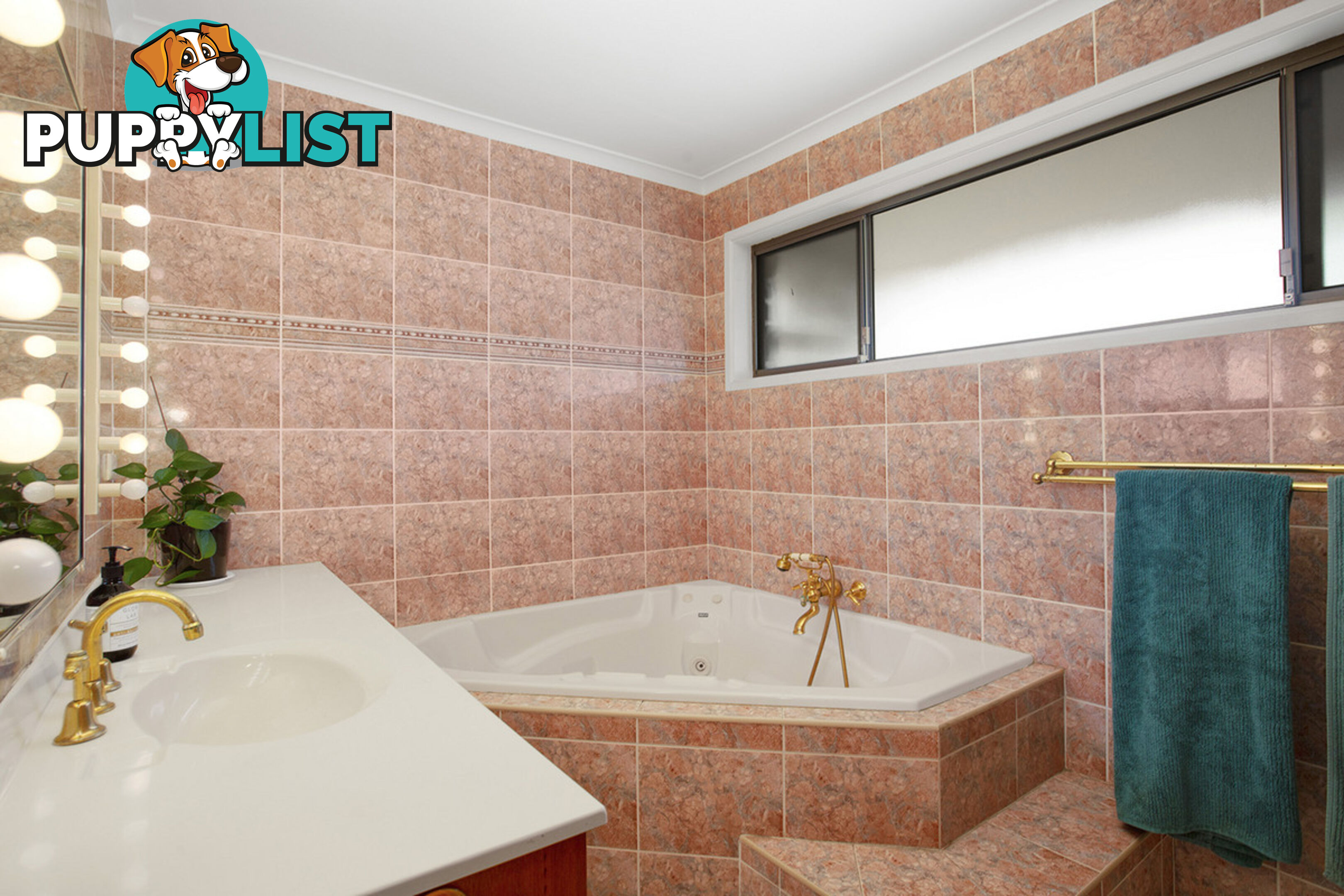 119 Shore Street North CLEVELAND QLD 4163