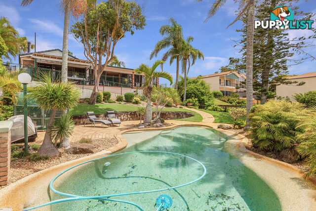 119 Shore Street North CLEVELAND QLD 4163