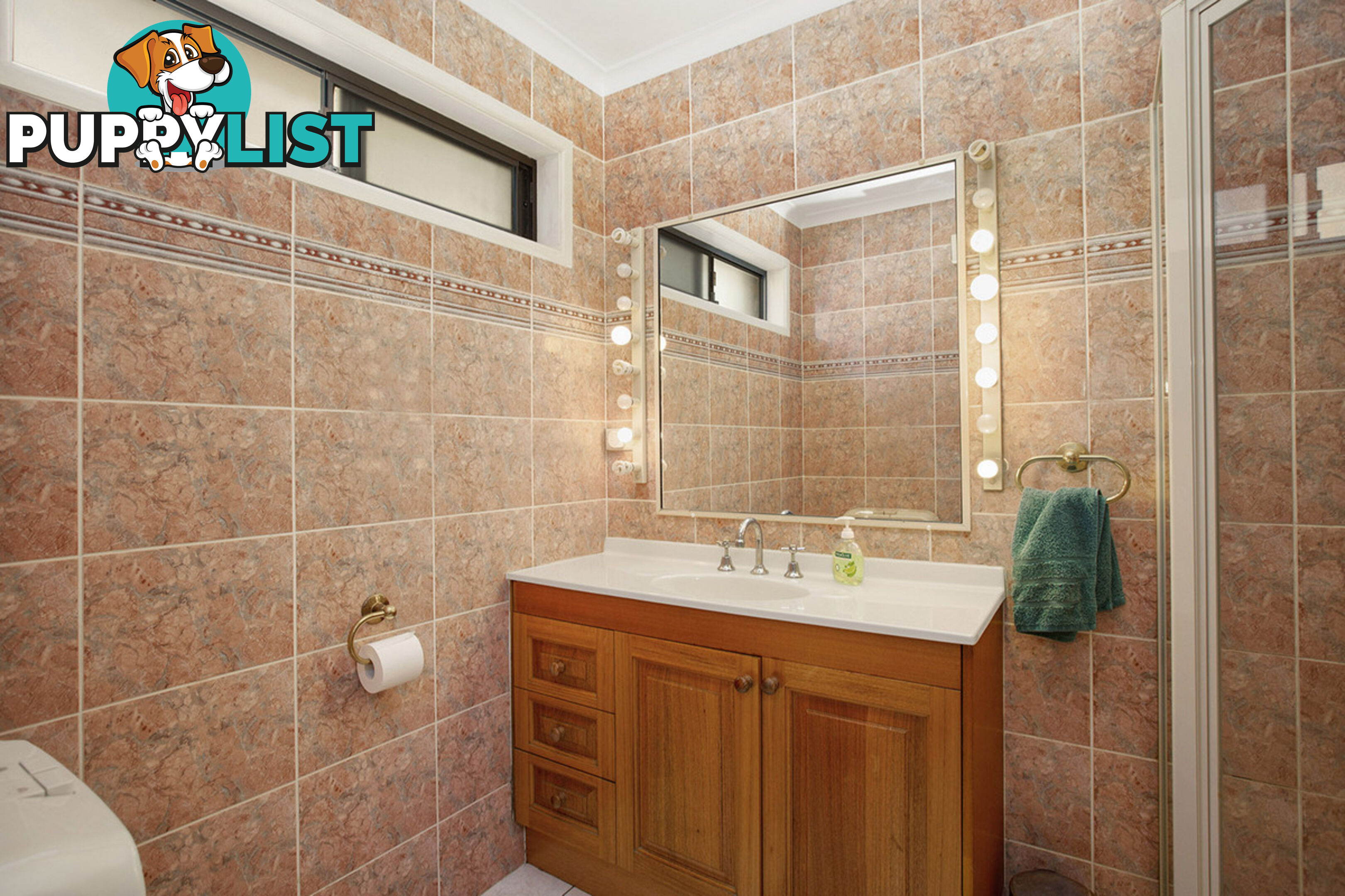 119 Shore Street North CLEVELAND QLD 4163
