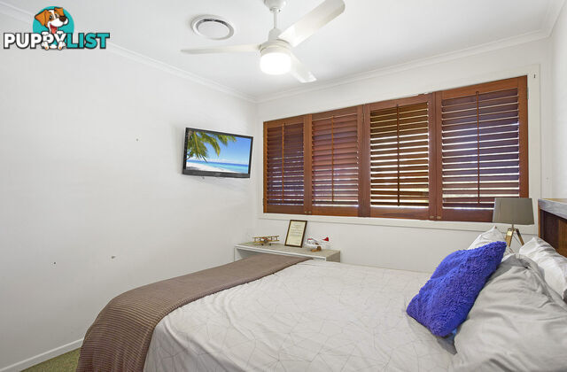 119 Shore Street North CLEVELAND QLD 4163
