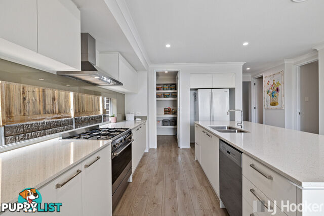 43 Mountain Ash Way REDLAND BAY QLD 4165