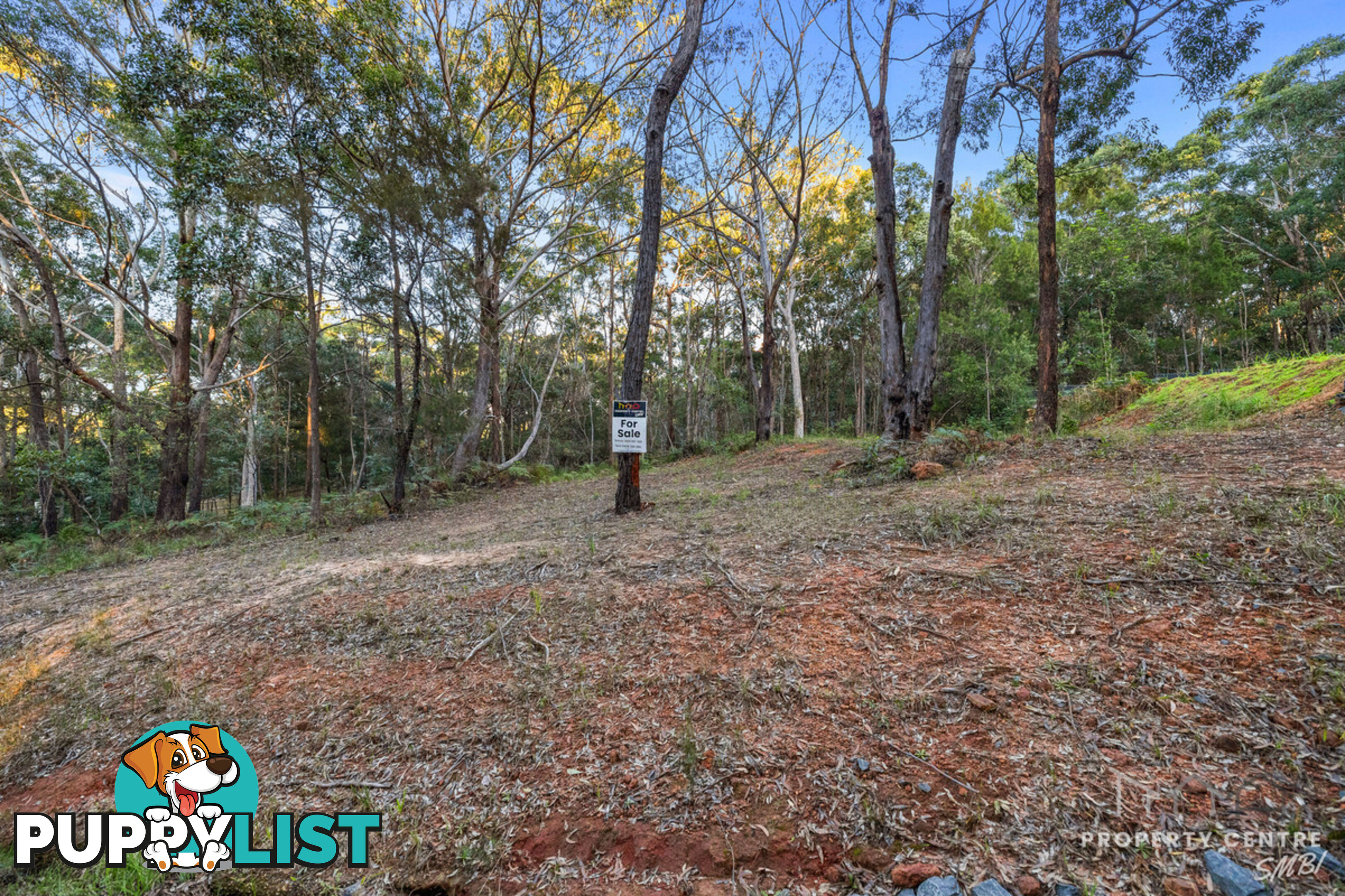 23 Darling Street RUSSELL ISLAND QLD 4184