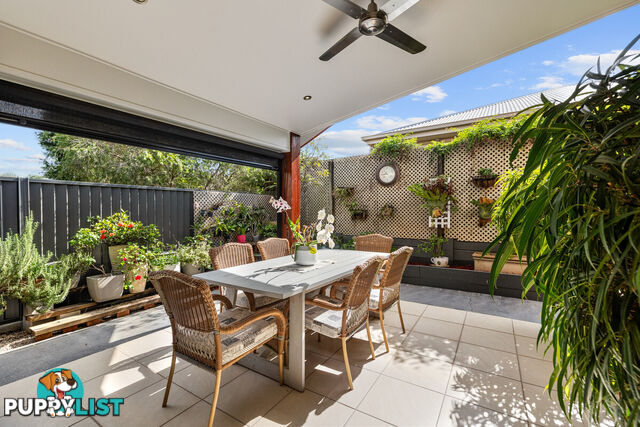 1 Jasmine Street WAKERLEY QLD 4154
