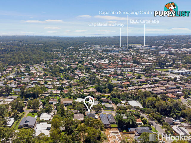 36 Larbonya Crescent CAPALABA QLD 4157