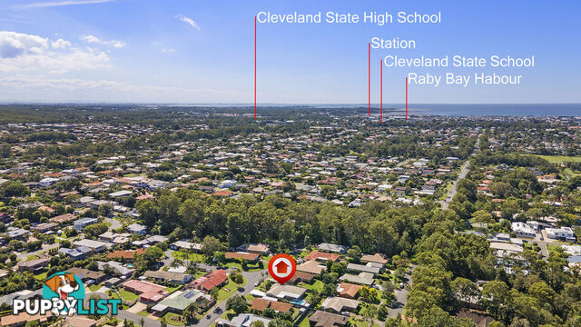 5 Janlaw Street CLEVELAND QLD 4163