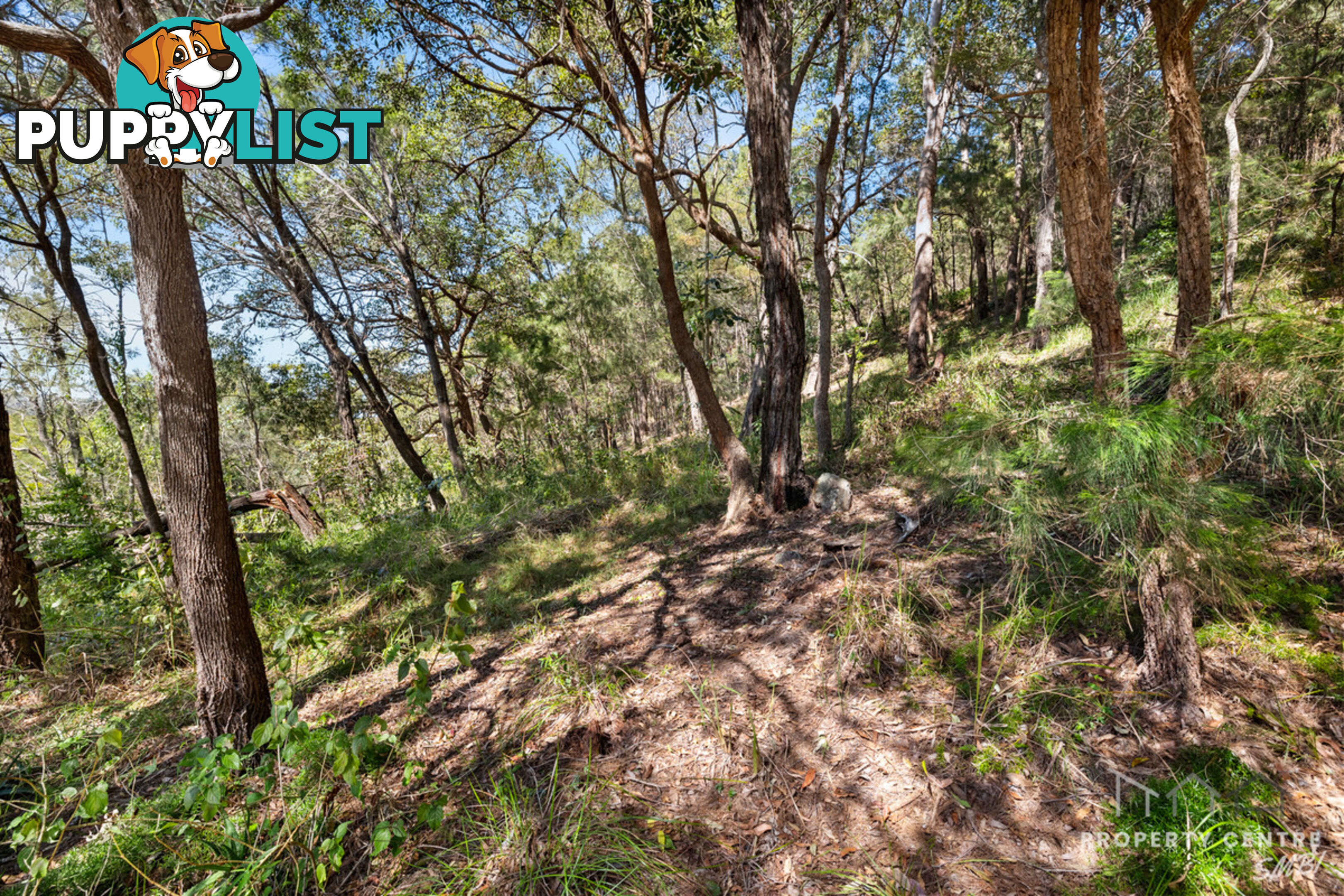 12 Leichhardt Terrace RUSSELL ISLAND QLD 4184