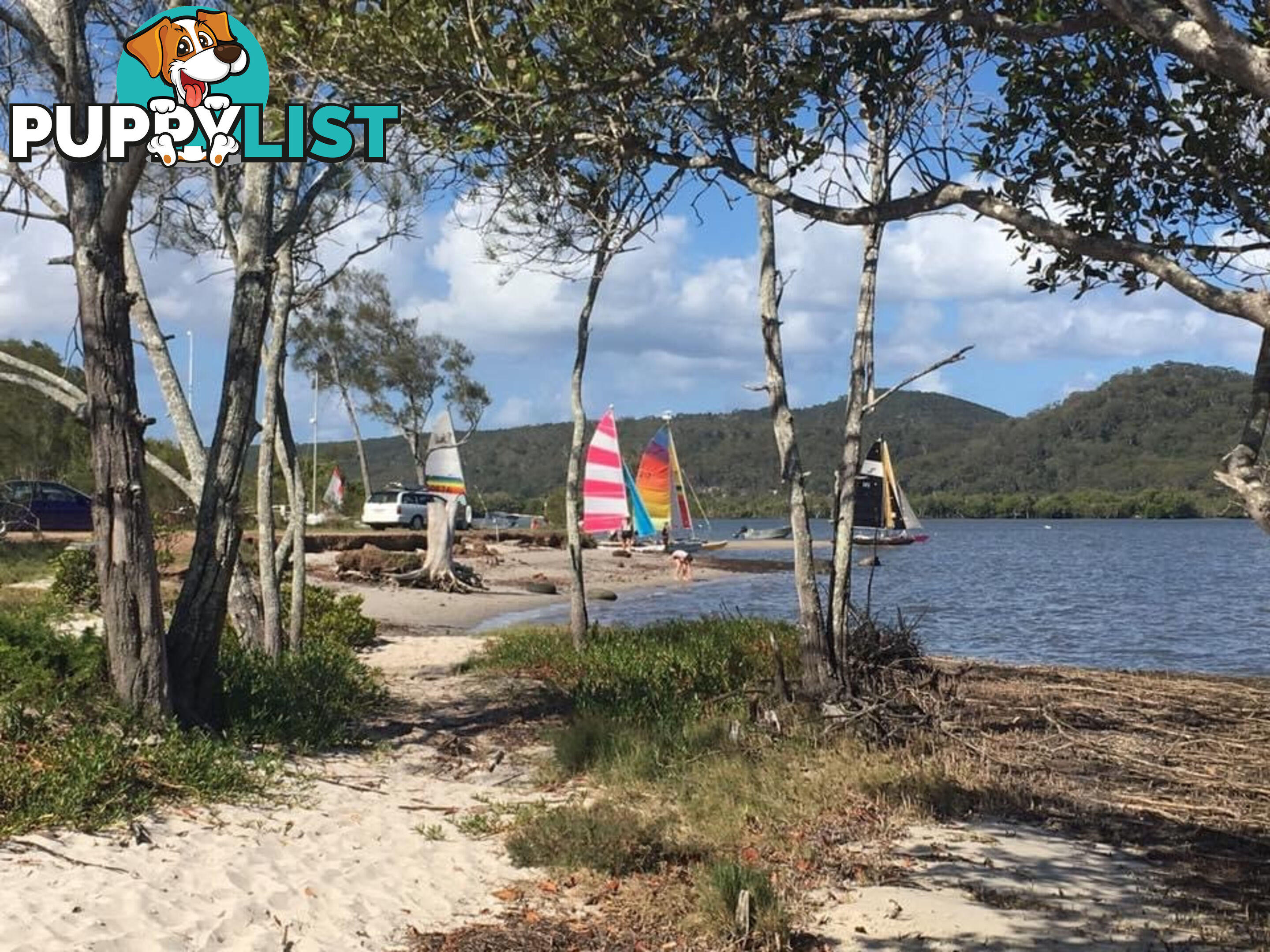 68 Prior Way RUSSELL ISLAND QLD 4184