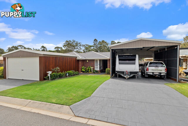 12 Pecan Court BIRKDALE QLD 4159