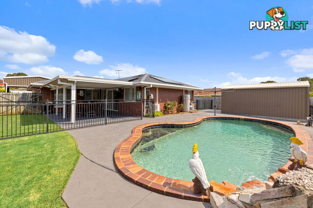 12 Pecan Court BIRKDALE QLD 4159