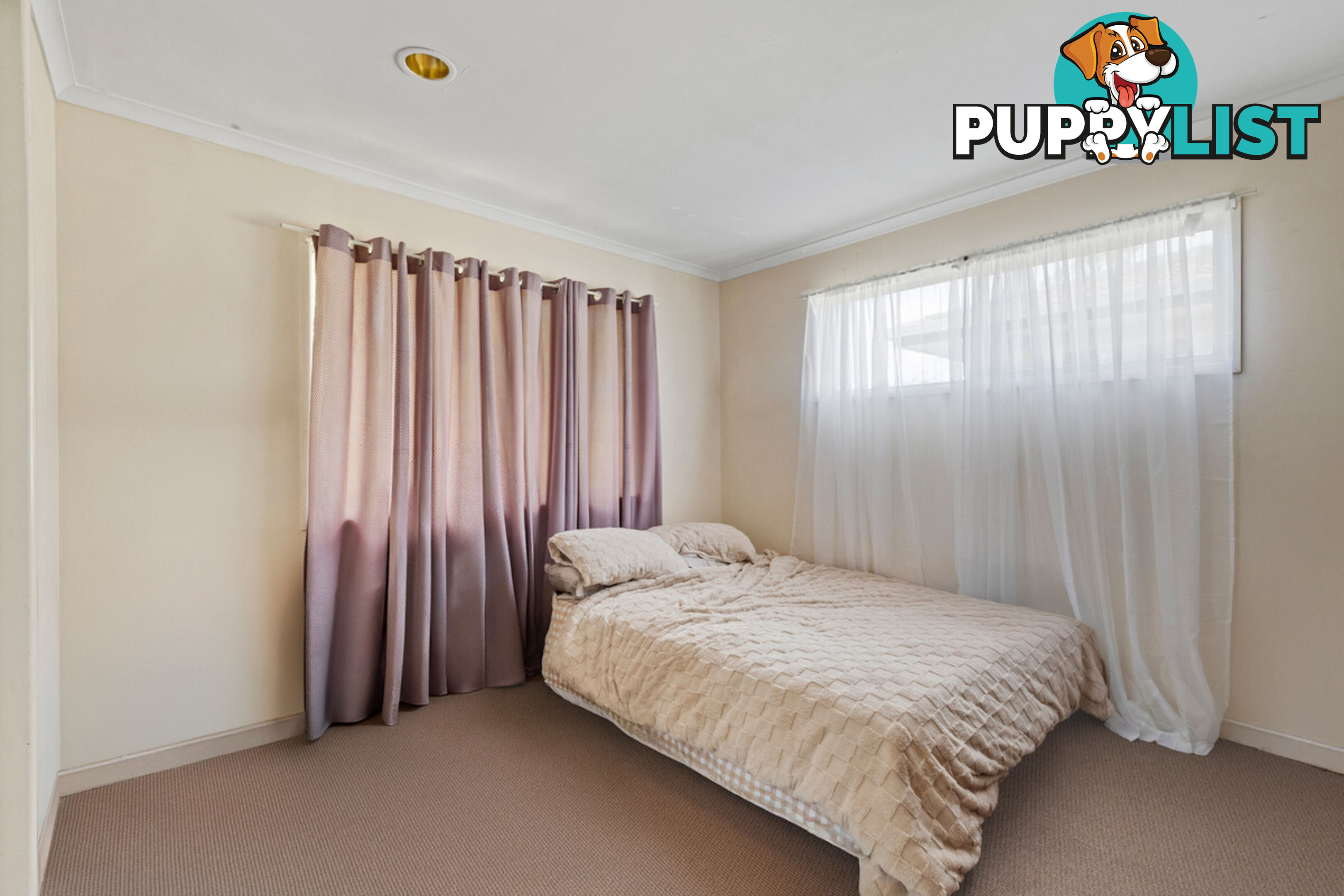 22 Consort Street ALEXANDRA HILLS QLD 4161