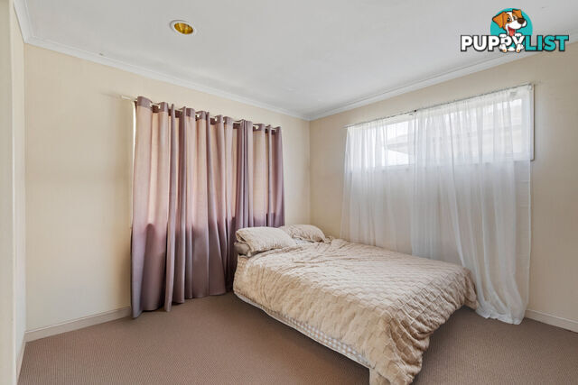 22 Consort Street ALEXANDRA HILLS QLD 4161