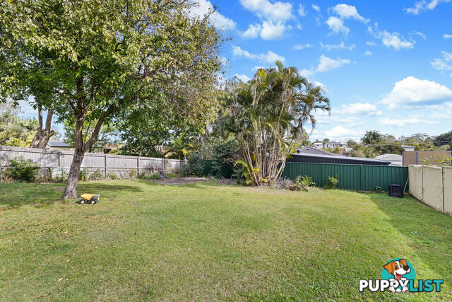 22 Consort Street ALEXANDRA HILLS QLD 4161