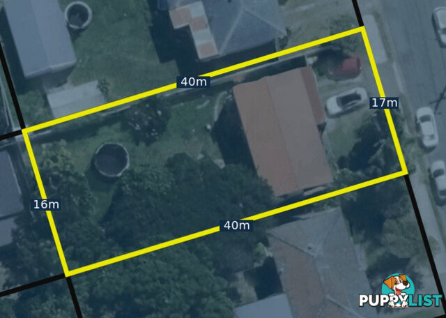 22 Consort Street ALEXANDRA HILLS QLD 4161