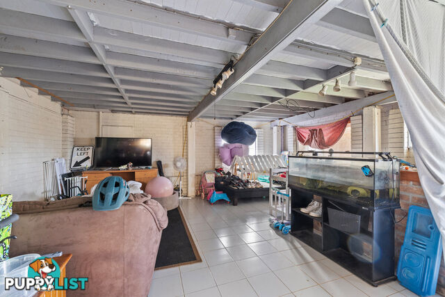 22 Consort Street ALEXANDRA HILLS QLD 4161