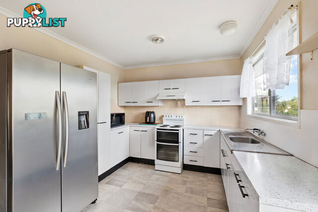 22 Consort Street ALEXANDRA HILLS QLD 4161
