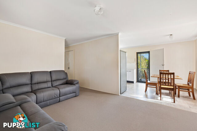 22 Consort Street ALEXANDRA HILLS QLD 4161
