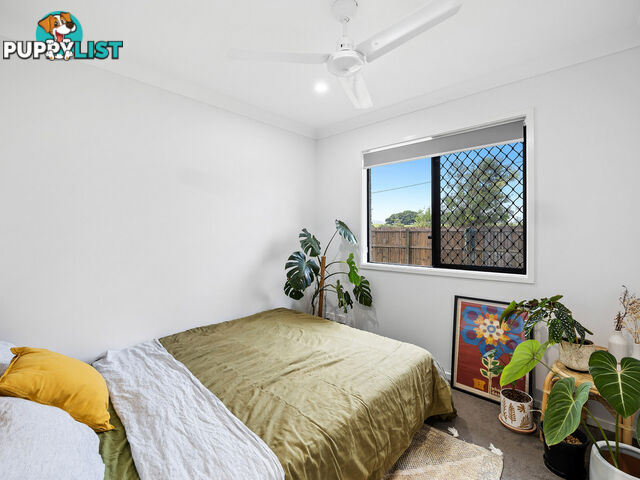 1/39 Carnival Street YANDINA QLD 4561