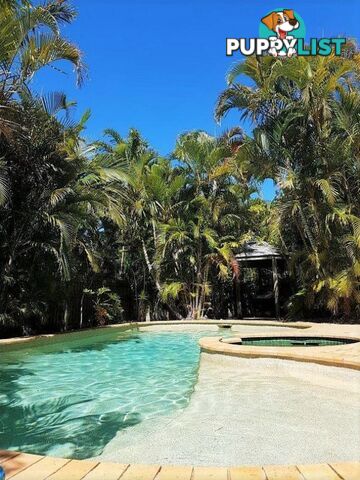 7 Legend Court ALEXANDRA HILLS QLD 4161