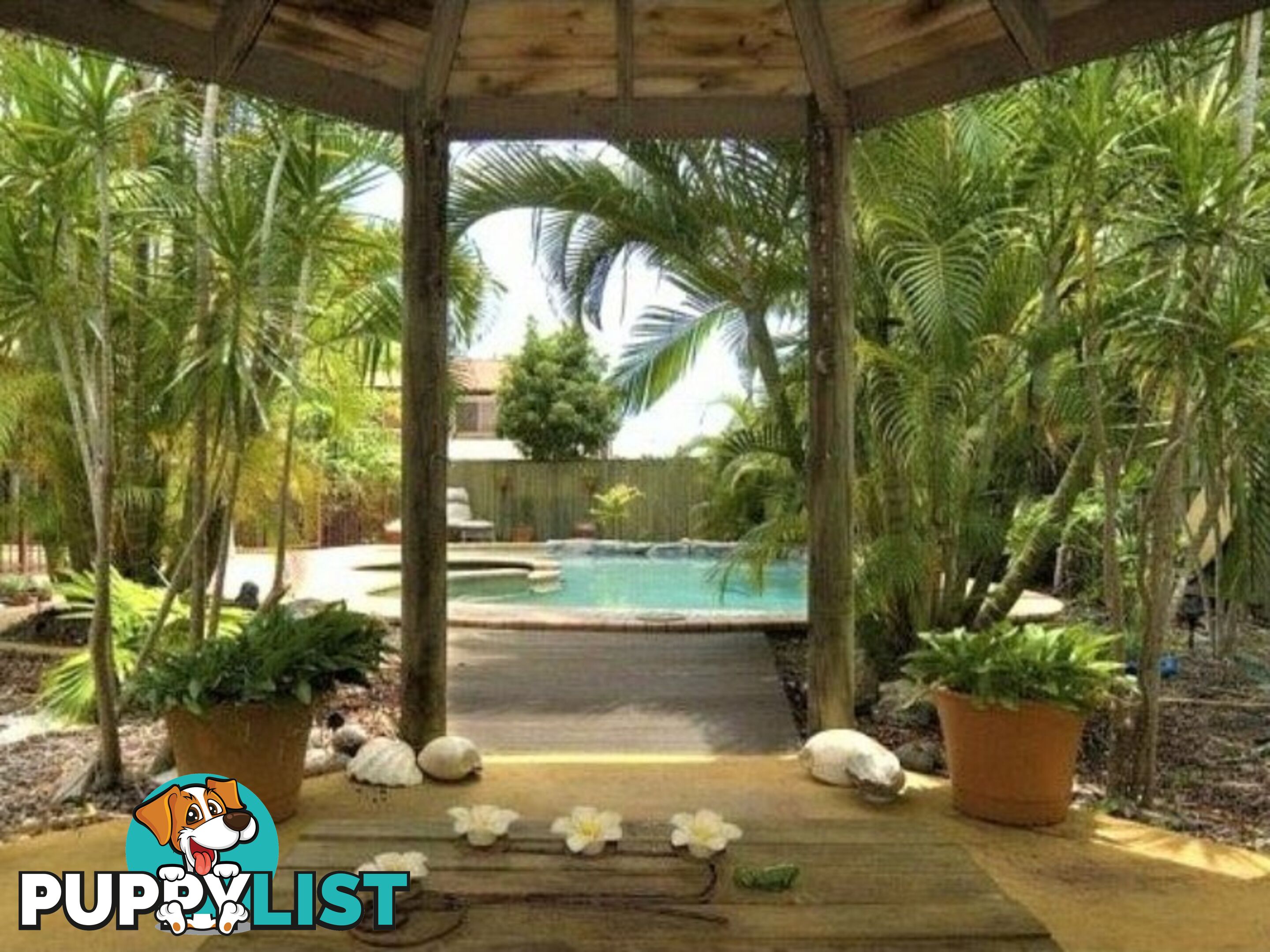 7 Legend Court ALEXANDRA HILLS QLD 4161