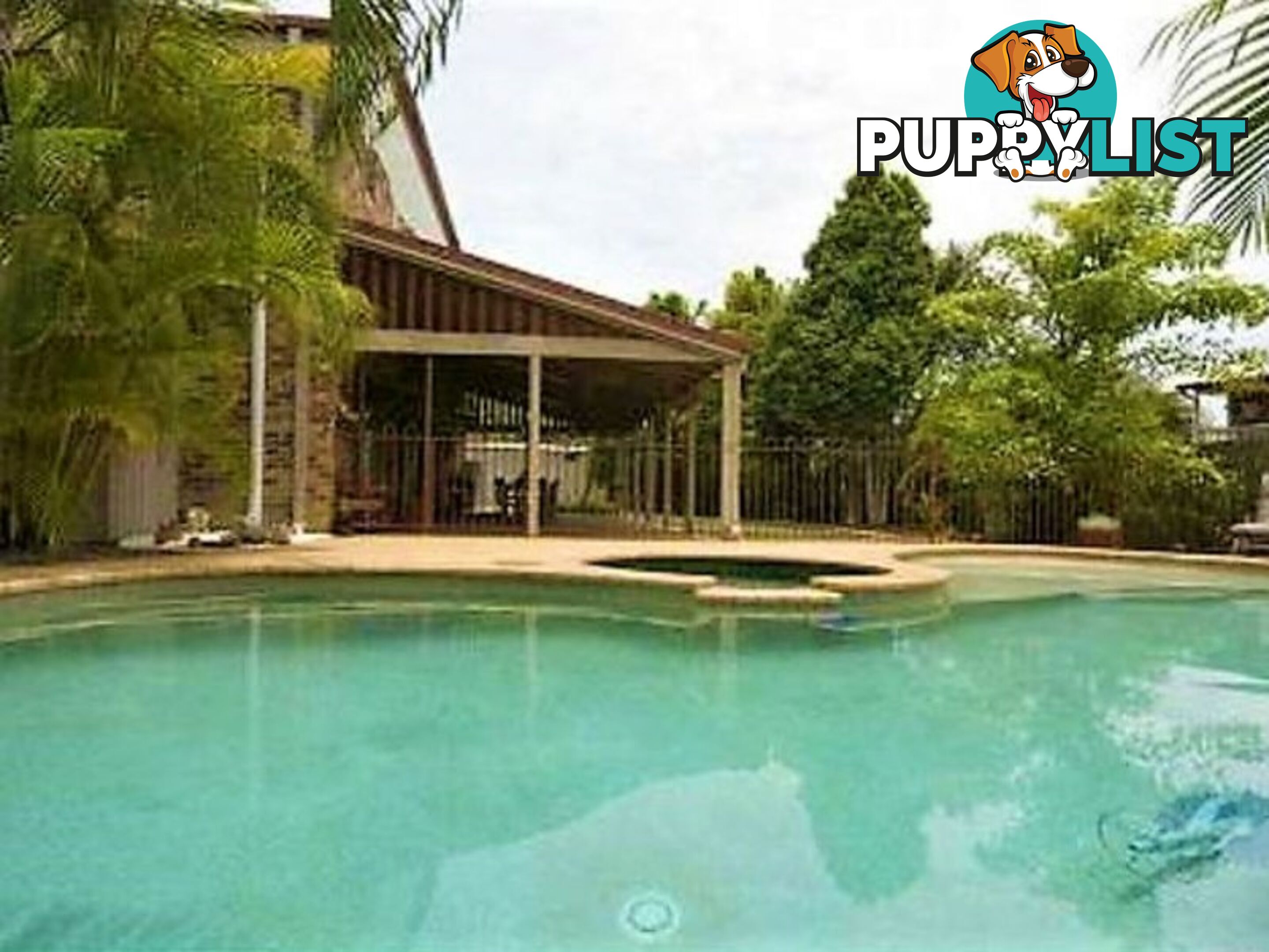 7 Legend Court ALEXANDRA HILLS QLD 4161