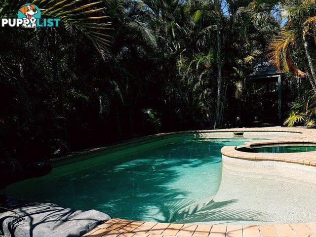 7 Legend Court ALEXANDRA HILLS QLD 4161