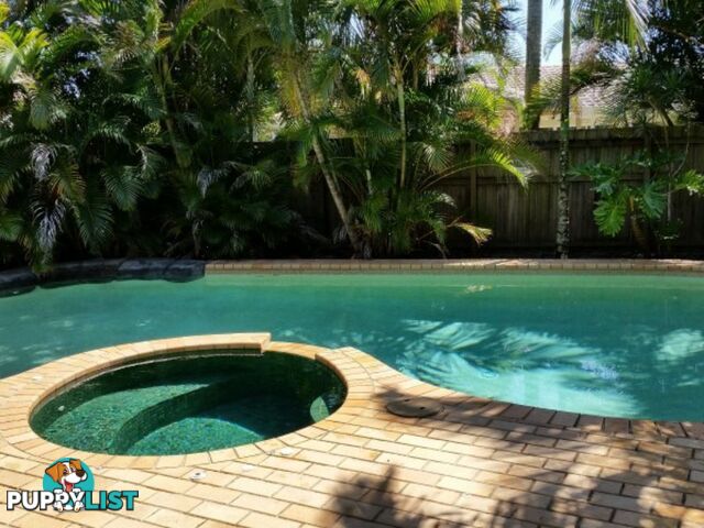 7 Legend Court ALEXANDRA HILLS QLD 4161