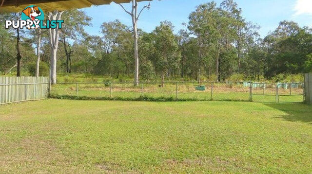 64 Wau Road DARRA QLD 4076