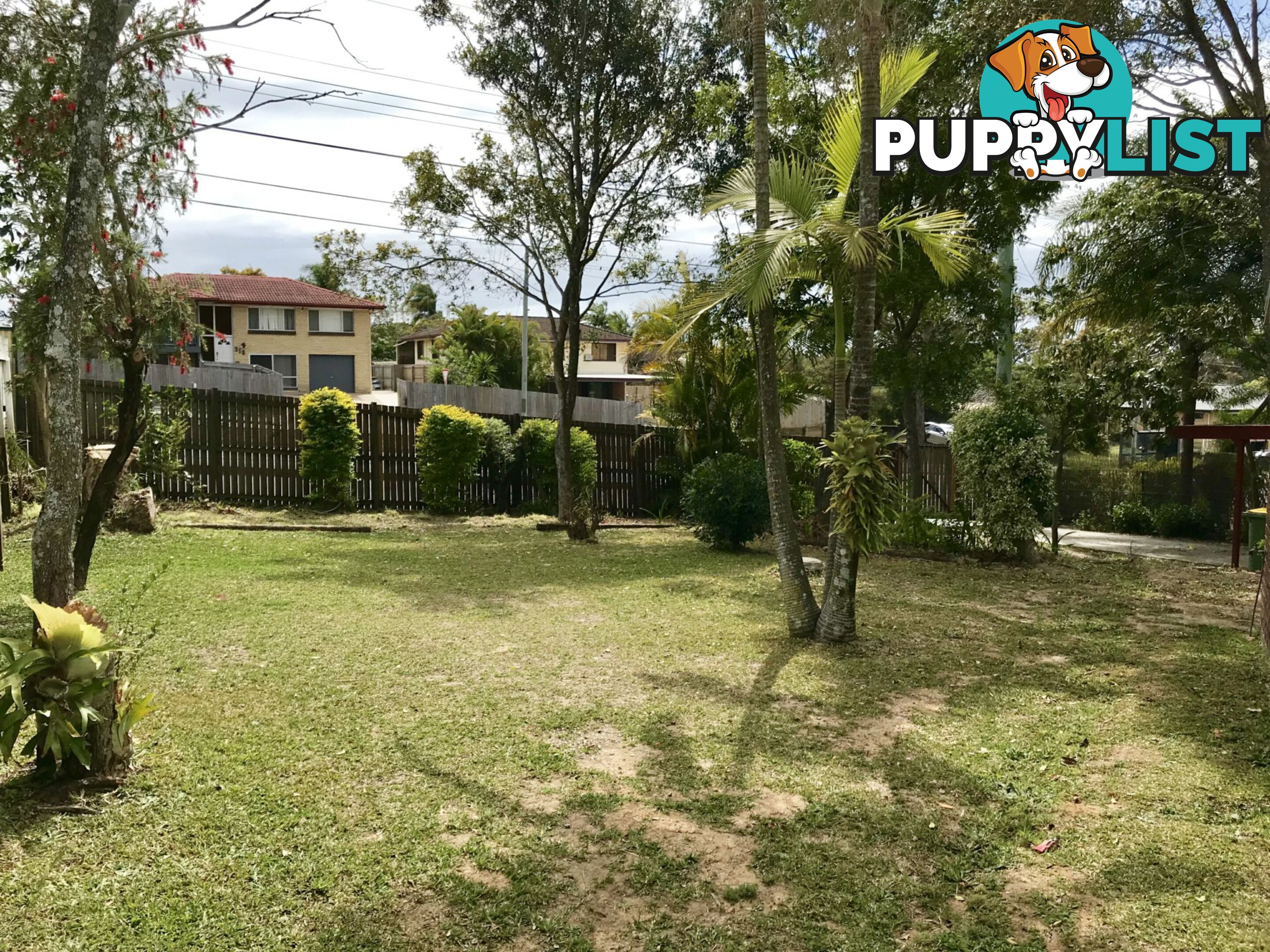 219 Finucane Road ALEXANDRA HILLS QLD 4161