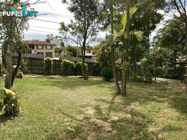 219 Finucane Road ALEXANDRA HILLS QLD 4161