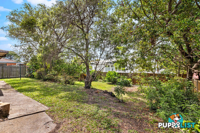 4 Trout Street THORNLANDS QLD 4164