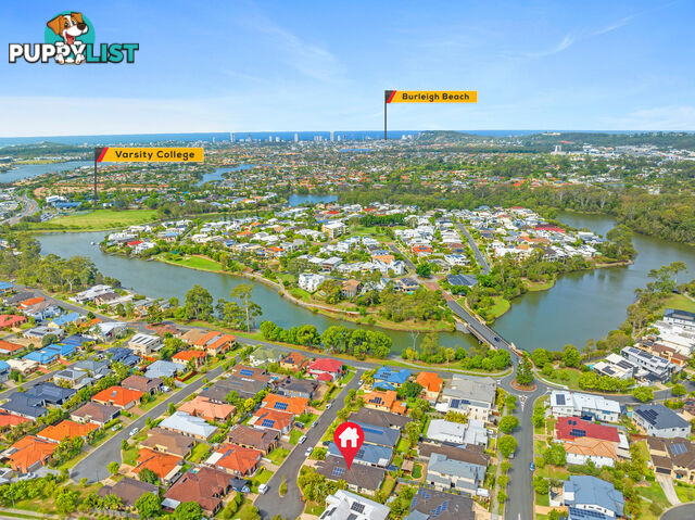 12 Nepean Court VARSITY LAKES QLD 4227